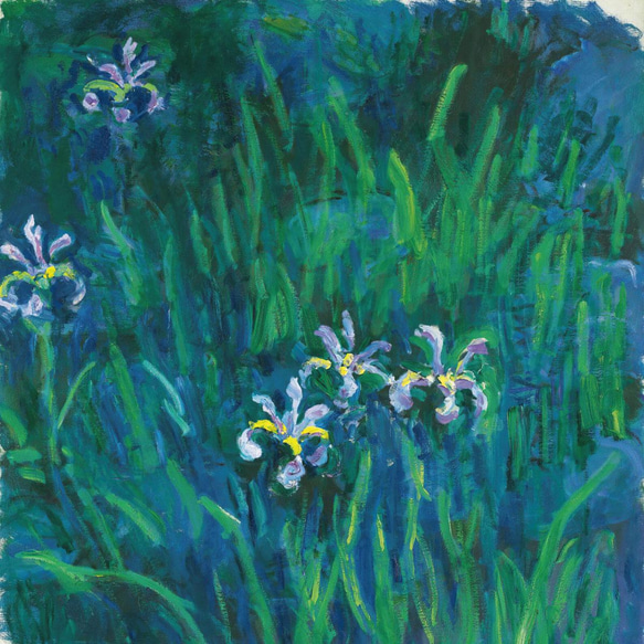 [額縁付き] iris アイリス アートポスター 天然木 ポスターフレーム 春 花 植物 グリーン APFS009 5枚目の画像