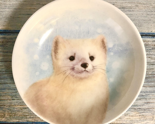 【エトねこ】肺皿 エトねこ】肺皿 0-4005-06 膿盆 300×172×55mm M-18- 【エトねこ様専用