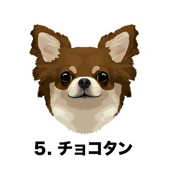 【 チワワ 毛色6色左下デザイン】スマホケース　クリアソフトケース　うちの子　犬　 iPhone&Android 6枚目の画像
