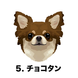 【 チワワ 毛色6色横向きデザイン】スマホケース　クリアソフトケース　うちの子　犬　 iPhone&Android 6枚目の画像