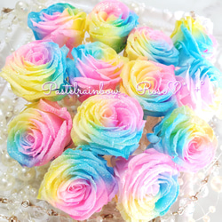 パステルレインボー*.❁2輪 ローズ 花材 プリザーブドフラワー 加工花