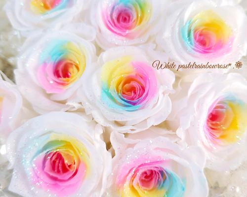 e9ddf64bacfba768747c37f7d2e5bf