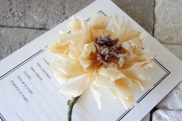 かんな屑のお花のコサージュ 22-03 コサージュ 組ム木工房 通販