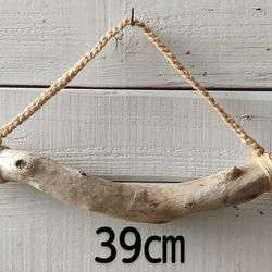流木ハンガー 約39cm 木材・板 life with wood 通販