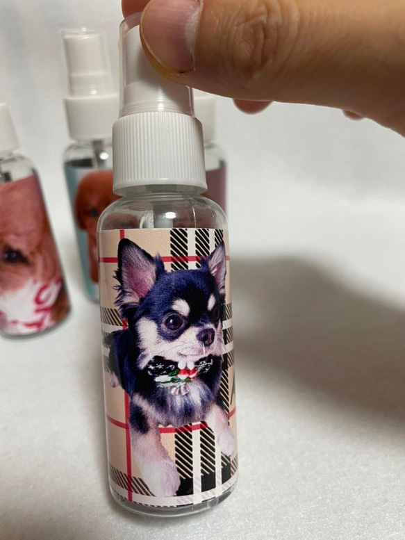 【 スプレーボトル 】　わが子オリジナル　うちの子　ペットグッズ　犬　スプレー　除菌ボトル　小物入れ　 6枚目の画像