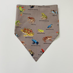 カラフルなカエル柄☆100〜110サイズこどもエプロン、三角巾、巾着3点セット 6枚目の画像