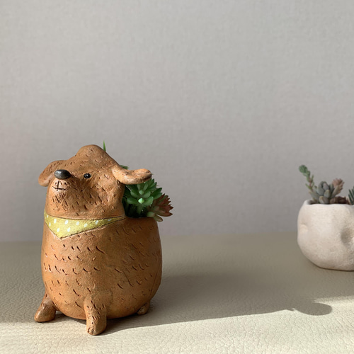 わんこ豆鉢 トイプードル 多肉植物 hiro 通販 13548915｜Creema