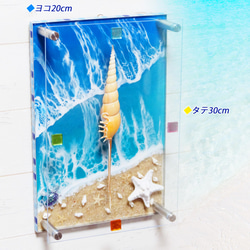 アートパネル 壁掛け　碧のビーチ&シェル(貝殻) 300×200　レジンアートパネル ディスプレイ　パワーシェル 2枚目の画像
