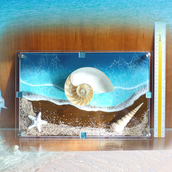 アートパネル 壁掛け　碧のビーチ&シェル(貝殻) 230×300　レジンアートパネル ディスプレイ　パワーシェル １ 6枚目の画像