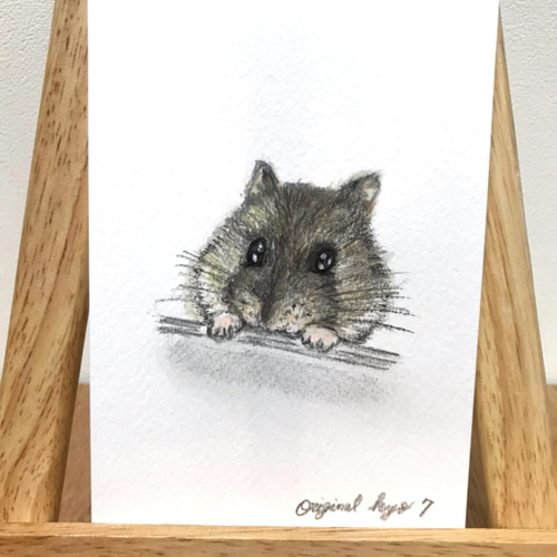 おねだりハムスター／色鉛筆画／No7 絵画 original-kyo 通販