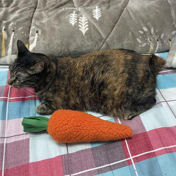 RABBITLULU 貓咪銷魂紅蘿蔔貓草包 貓薄荷 貓玩具 第10張的照片