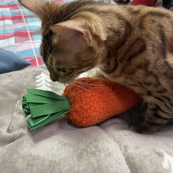 RABBITLULU 貓咪銷魂紅蘿蔔貓草包 貓薄荷 貓玩具 第3張的照片