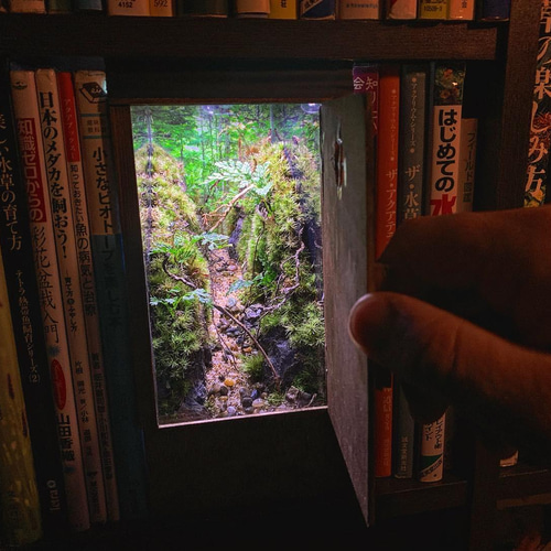 オリジナル テラリウム 作品 『小さな扉』コケテラリウム オリジナル テラリウム 作品 『小さな扉』コケテラリウム