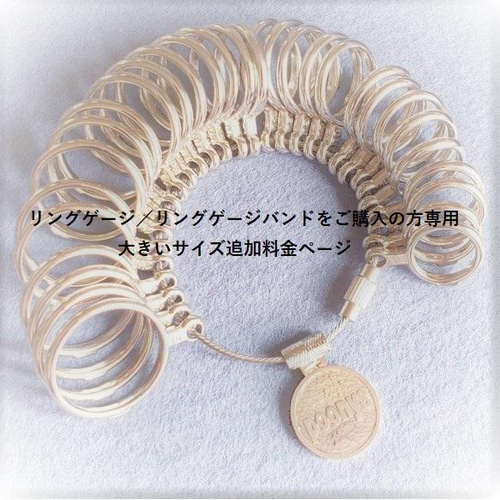 サイズ追加料金ページ】既にリングゲージ／リングゲージバンド購入済み  
