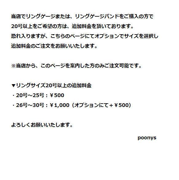 【サイズ追加料金ページ】既にリングゲージ／リングゲージバンド購入済みの方専用 2枚目の画像