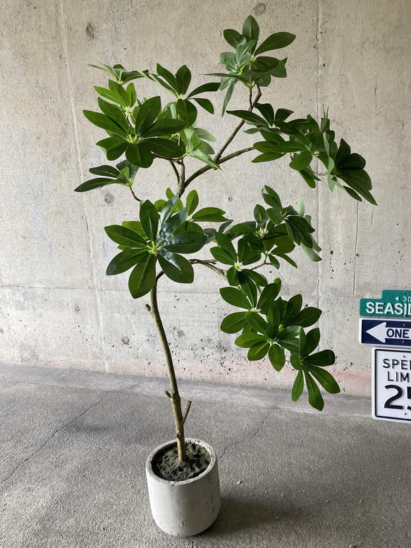 光触媒 人工観葉植物 ウォールグリーン フェイク フラワー ワイルド 