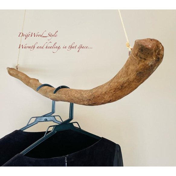 流木インテリア 曲線が美しい無骨で太いの大型ハンガーラック 北欧 衣装掛け ハンギング 吊り下げ ハンガーポール 癒し 3枚目の画像