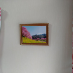 桜・菜の花・青い空 「春の三色」額装写真 A4判 4枚目の画像