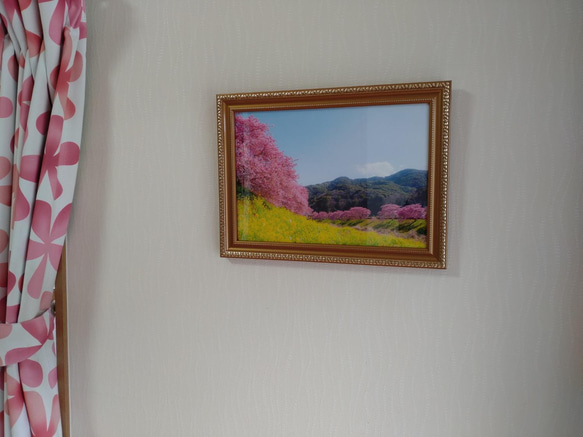 桜・菜の花・青い空 「春の三色」額装写真 A4判 3枚目の画像