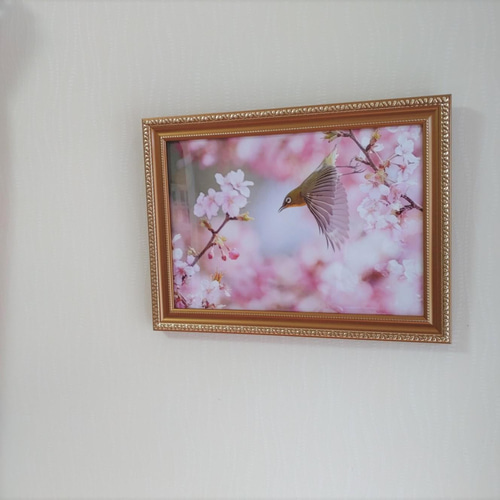 額装写真「河津桜とメジロ」 A4判 写真・グラフィック くみこ 通販