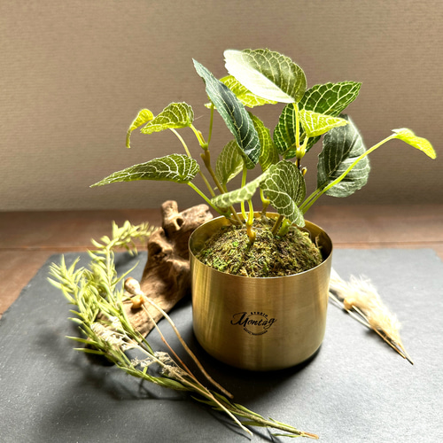 真鍮鉢カバー ミニ観葉植物にピッタリ！ その他インテリア雑貨