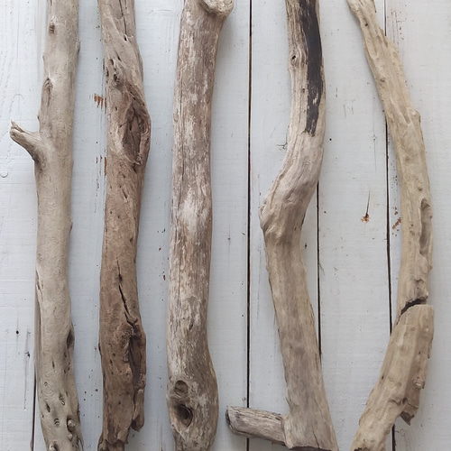 太めの流木 70～80cm (A.B.Dは売り切れました！)各1本ずつでの