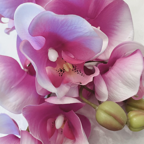 no86,胡蝶蘭, 和風,濃い ピンク,アーティフィシャルフラワー,フラワー