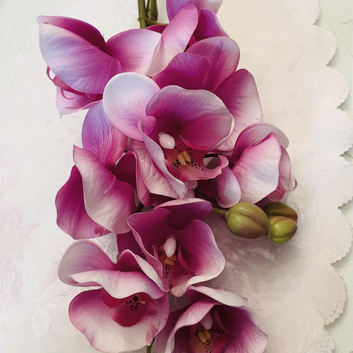 no86,胡蝶蘭, 和風,濃い ピンク,アーティフィシャルフラワー,フラワー