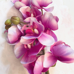 no86,胡蝶蘭, 和風,濃い ピンク,アーティフィシャルフラワー,フラワー