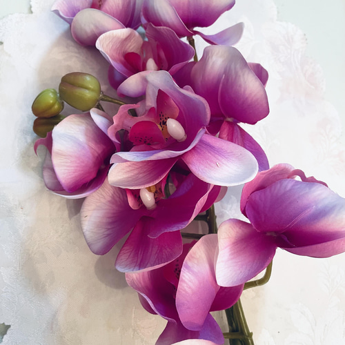 no86,胡蝶蘭, 和風,濃い ピンク,アーティフィシャルフラワー,フラワー