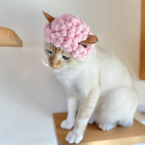 お取り置き中です。mite帽子 えんモコモコ生地 帽子