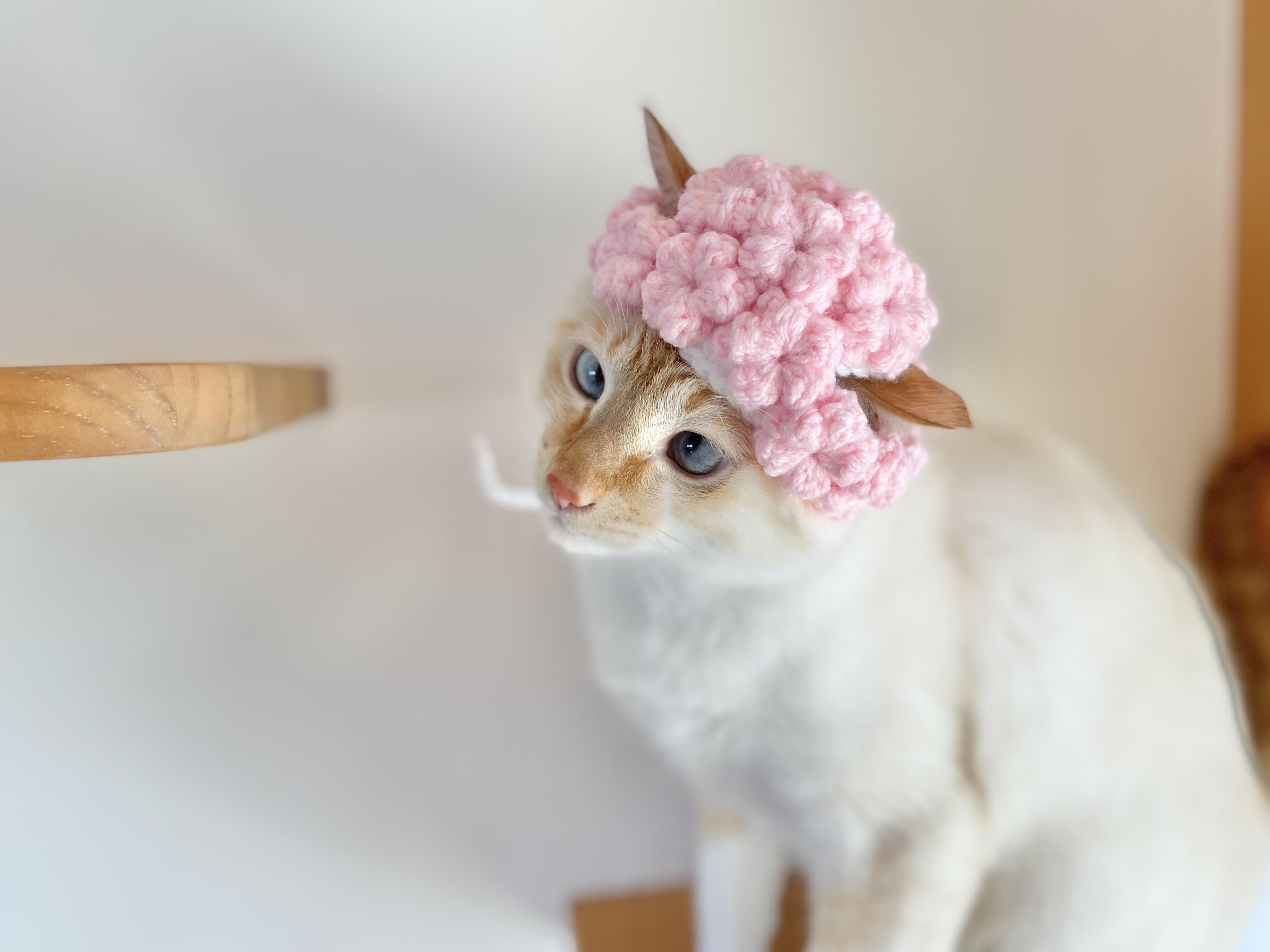 国内外の人気 ぬい服 ねこさん お花 帽子 1 ポシェット アイドル