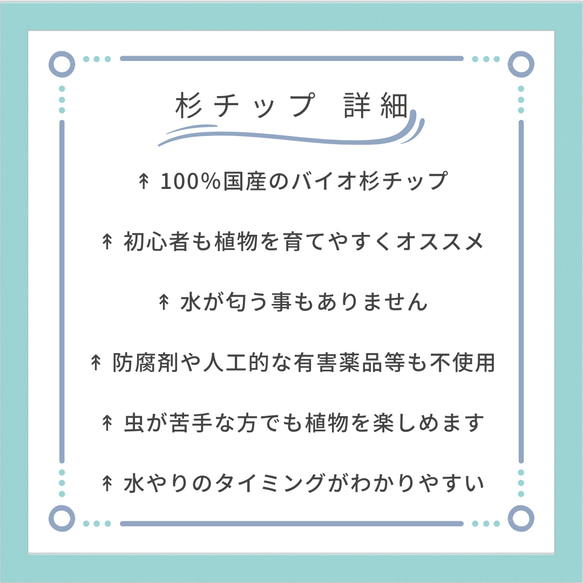 キッチンやダイニングに最適 バイオチップ 虫がわかない 清潔 匂わない ハイドロカルチャー エコスギ使用 観葉植物 室内 6枚目の画像