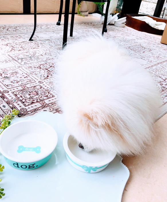1️⃣お名前無料♡リボン フードボウル　ポーセラーツ  プレゼント　犬　猫　 8枚目の画像