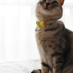 爽やかレモン刺繍の首輪　猫さん犬さん 4枚目の画像