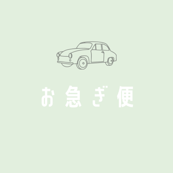 お急ぎ便のご案内 ⭐︎お急ぎの方は必ずこちらを購入したい商品