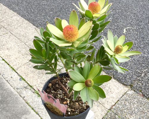 f8aec64d02e11211b9e1124572ce4d