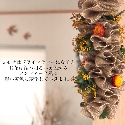 天井から吊るすインテリア ミモザガーランド ドライフラワー 30cm
