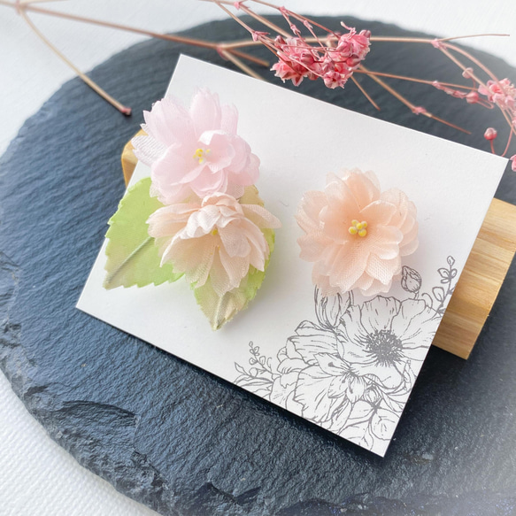 八重桜のアシンメトリーピアス/イヤリング (樹脂、チタン