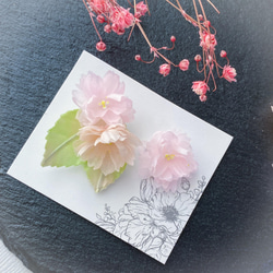 八重桜のアシンメトリーピアス/イヤリング (樹脂、チタン、ノンホールピアス) 桜 サクラ さくら 布花 4枚目の画像