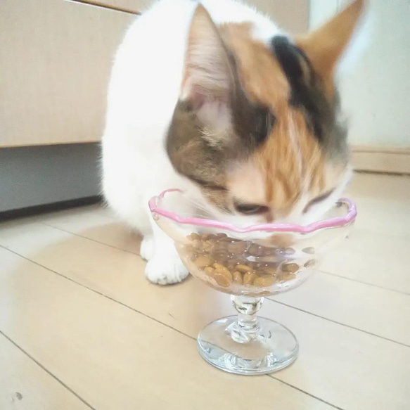 猫の食器・food 2枚目の画像