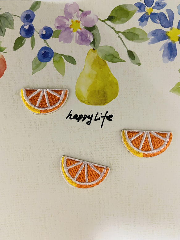 大きめ！創作アップリケ(布絵) みかん 2026年最新】みかん アップリケ