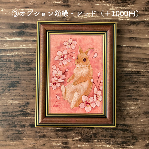 春の花の日本画 桜とうさぎ 絵画 紫苑工房 通販 13561926
