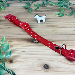 犬　首輪＆リードセット　水玉　定番　人気　　赤色　レッド　小型犬　ハンドメイド 5枚目の画像