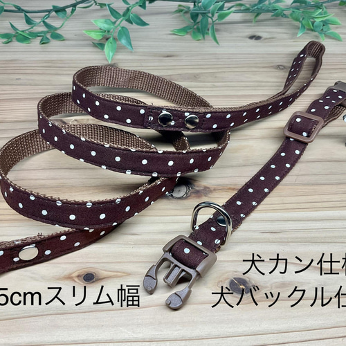 犬 首輪＆リードセット 水玉 定番 人気 茶色 ブラウン 小型犬