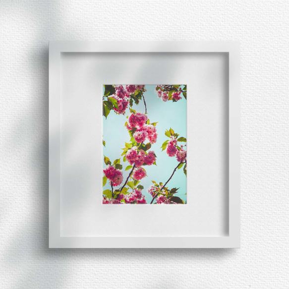 桜と新緑と空が作る春のパターン柄 おしゃれフラワーポスター 2枚目の画像