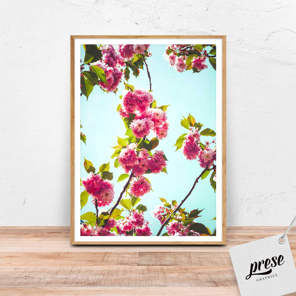 花柄 テクスチャーアート ボタニカル フランフラン 桜 SAKURA 桜の絵 SALE Francfranc フランフラン 好き テクスチャーアート 花の絵