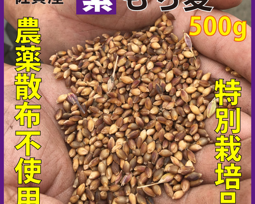 b531019adcb34a634e2b8433b785b4