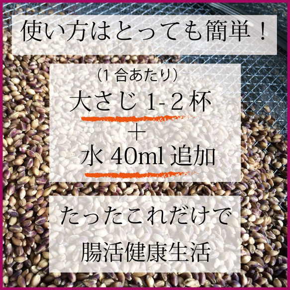 紫もち麦 国産 無農薬 雑穀  殻付き玄麦タイプ(固め)500g　古澤さんの特別栽培品 3枚目の画像