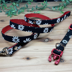 【Radley 】ドッグ 犬 花クリスタル 18Kプレート ブレスレット コードブレスレット 紐 イルカ ドルフィンテール 尻尾 カラフル